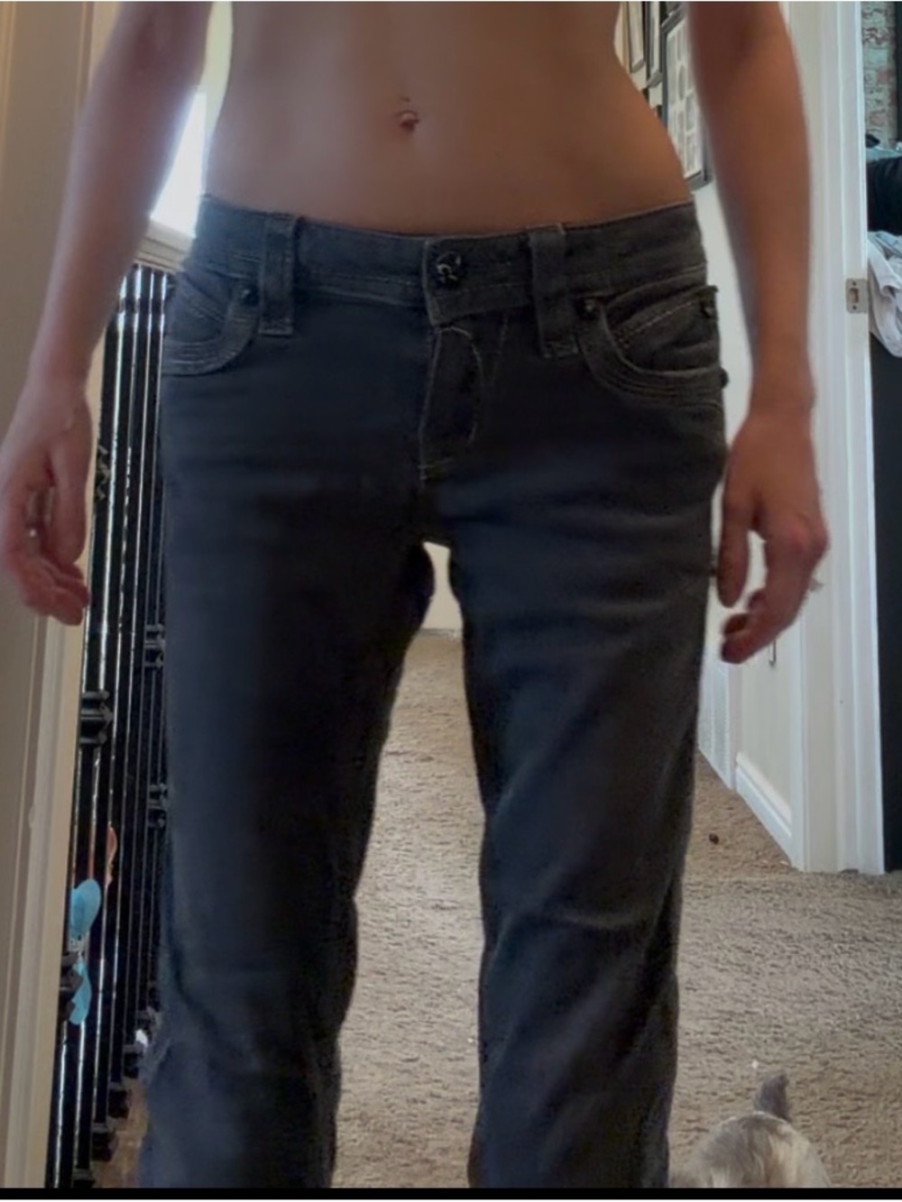 Rock Revival Straight Leg Jeans in Dark blue with free shipjng